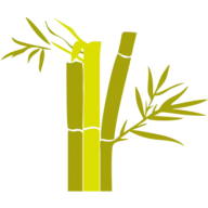 Logo WASP3D