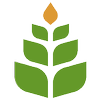 Logo Kernel Fund /Venture Capital/