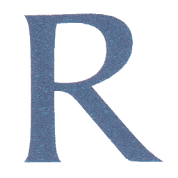 Logo Rajsriya Automotive Industries Pvt Ltd.