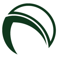Logo SIN SpA - Sistema Informativo Nazionale per lo Sviluppo