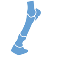 Logo Corner House Equine Clinic Ltd.