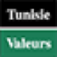 Logo Tunisie Valeurs SA
