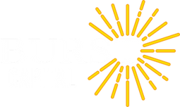 Logo Burst Capital Management LLC