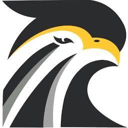 Logo Renewable Energy Infrastructure Group, Inc.