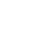 Logo Nordic Investment Opportunities Fondsmæglerselskab A/S
