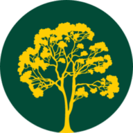 Logo Salinas Gold Mineração Ltda.