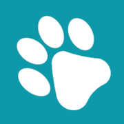 Logo The Duffield Family Foundation
