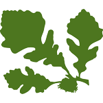 Logo Dawes Arboretum
