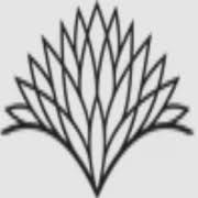 Logo Wake Network, Inc.