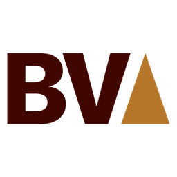 Logo Bronze Valley /Venture Capital/