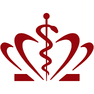 Logo Healthcare Denmark