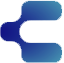 Logo CARsgen Therapeutics Holdings Ltd.