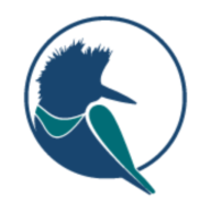 Logo Kingfisher Metals Corp.
