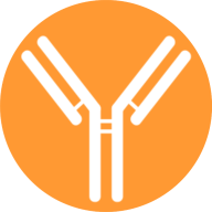 Logo Cessation Therapeutics, LLC