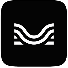 Logo Moises Systems, Inc.