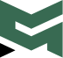 Logo Vehix Transvision LLC