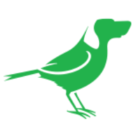 Logo BirdDog Technology Ltd.