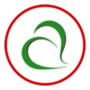 Logo Pinsami Srl