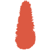 Logo Riyaasat Lifestyle Ltd.