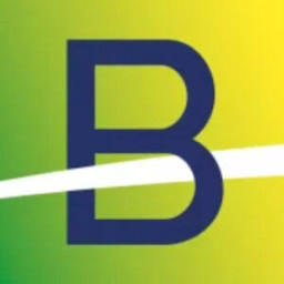 Logo Brazilian Rare Earths Ltd.