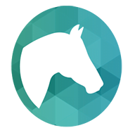 Logo White Horse Insurance Ireland DAC