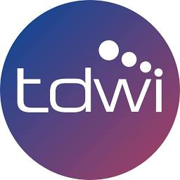 Logo The Data Warehousing Institute