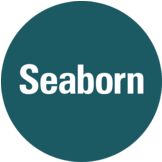 Logo Seaborn Networks Group, Inc.